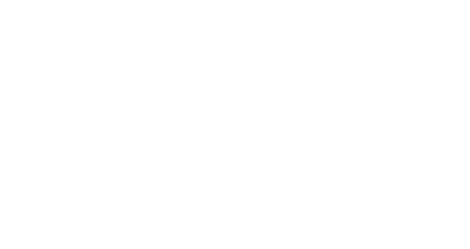 Визионеры России