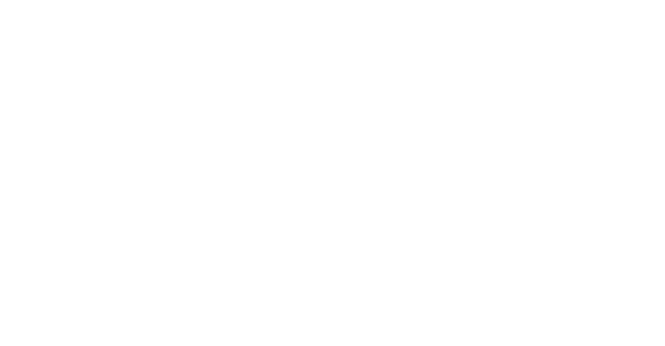 Giont VPN